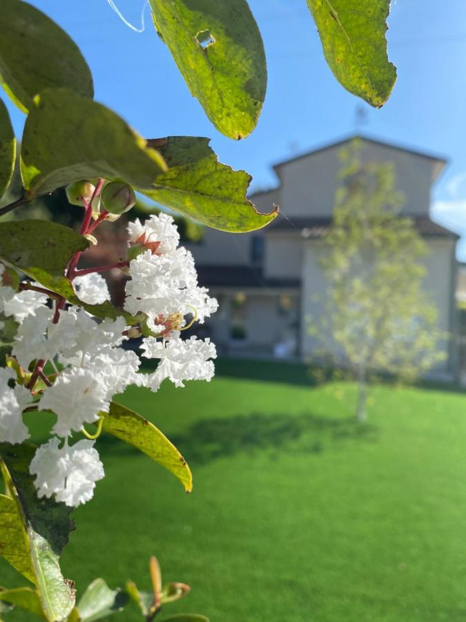 Civiconr3 Guest House Sona Exterior photo